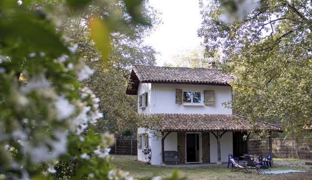 P'tit Gîte La Preillouse in the heart of the Landes de Gascogne Regional Park.