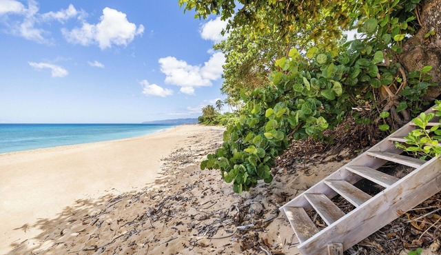 Pacific Pearl Beachfront Estate