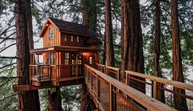 Pacific View Treehouse
