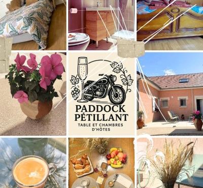 paddock pétillant