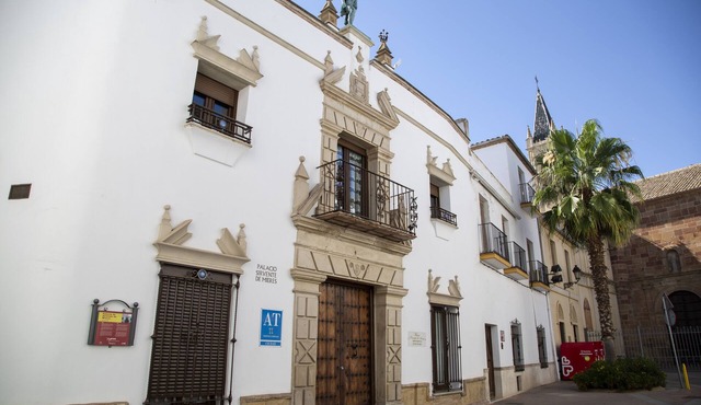 Palacio Sirvente de Mieres