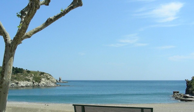 Palais Congrès(3 mn walk)Palais expositions(8mn)Maison Confort-Calme 10People