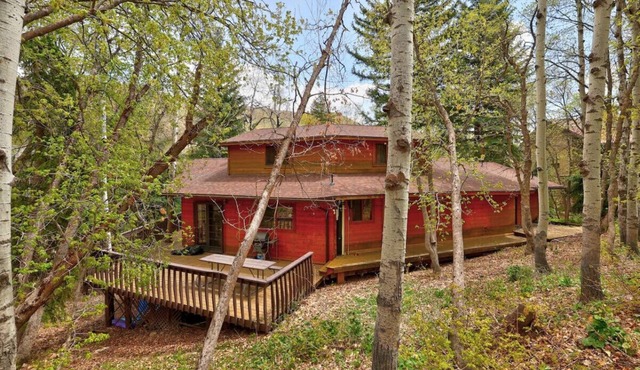 Palisade Pines Sundance, Utah Walk to Sundance Huge yard Game room Mountain Cabins Utah