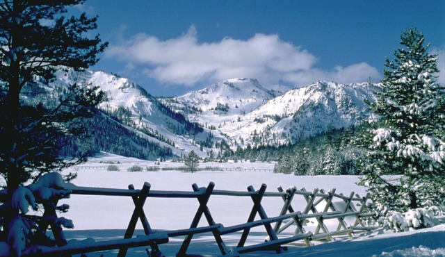 Palisades Meadows Condo # 13 by Tahoe Getaways - Ski & Monthly Lease. Walk to Chairlifts!