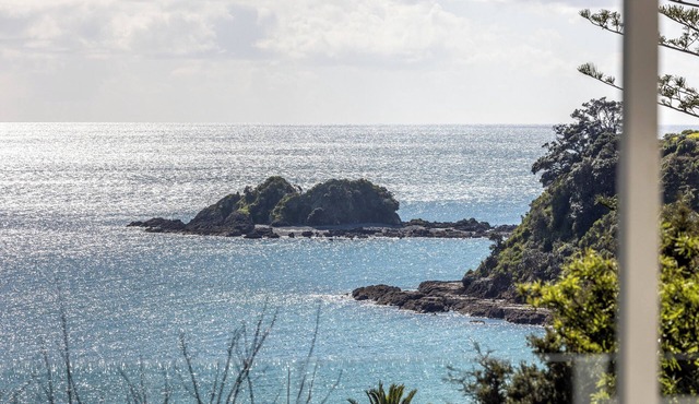 Palm Beach Retreat - Stay Waiheke