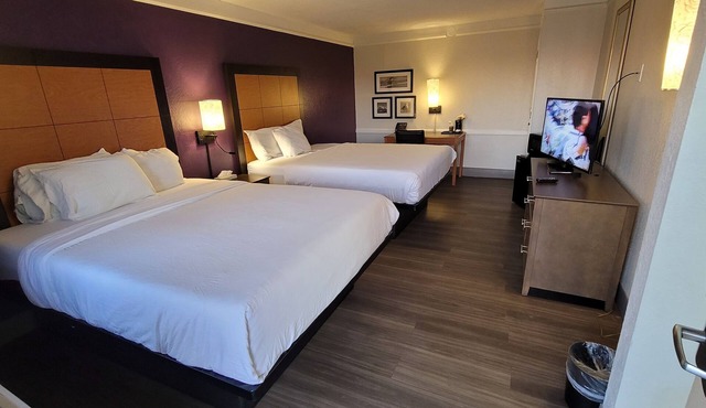 Palm Bliss Hotel Corpus Christi South