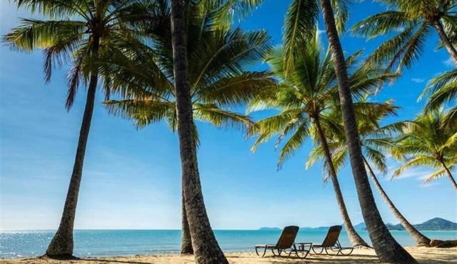 Palm Cove Studio Apartments