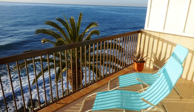 Palm Garden, large Pool, nice local Beach, beautiful View @ Barcelona's door