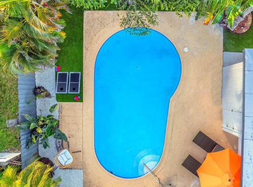 Palm Fiction - Pool and Hard Rock Casino