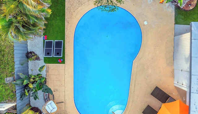 Palm Fiction - Saltwater Pool/Hard Rock Casino