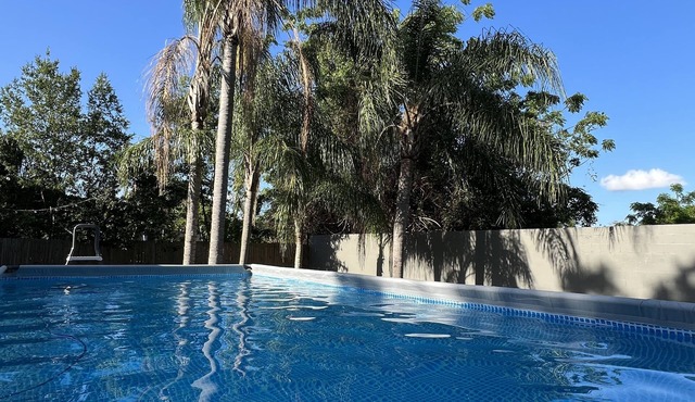 Palm Harbor Getaway Salt Pool Xbox Near Beaches & Blue Jays