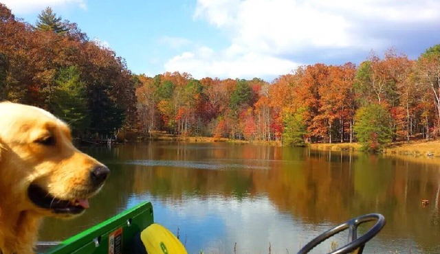 Palm Lake Cottage: 5-Star Country Comfort