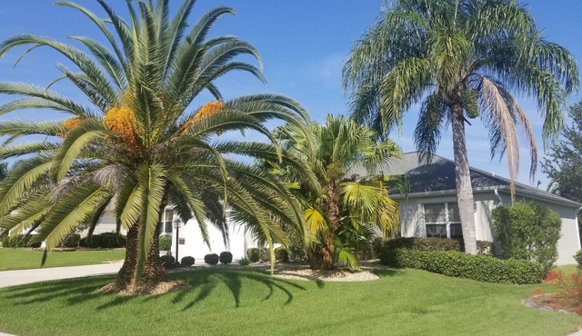 Palm Paradise - Great Location with a Courtesy Golf Cart