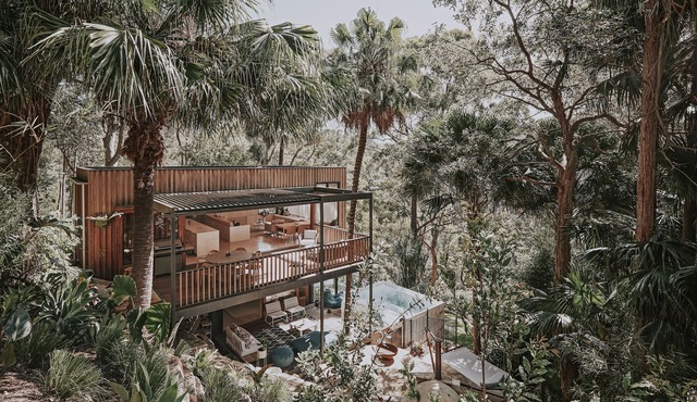Palm Pavilion: architectural rainforest retreat