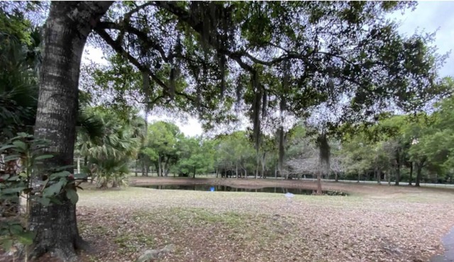 Palm Retreat Estate - Main house & Guest House - Pool, hot tubs, game room