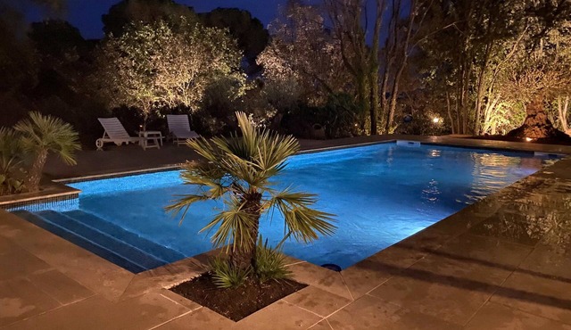 Palm tree cottage with pool in Taradeau