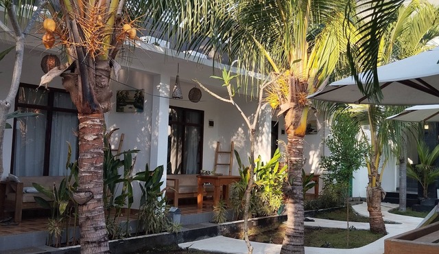 Palm Trees Villas
