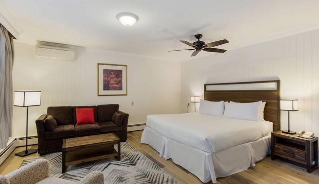 Palmer House Resort - Deluxe King Bed 5