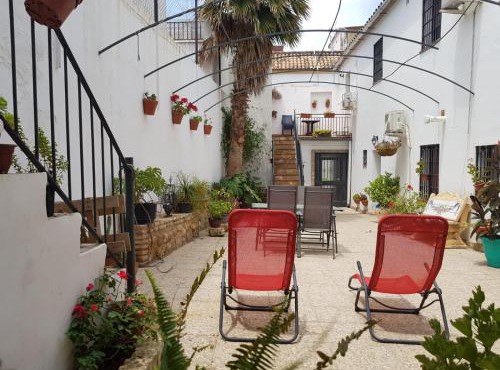 Palmera home