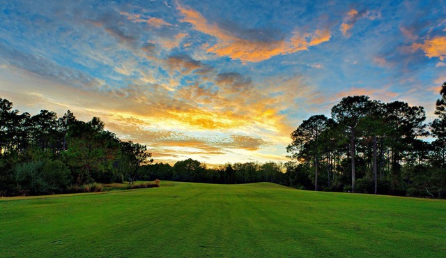 Palmers Par-fect Retreat