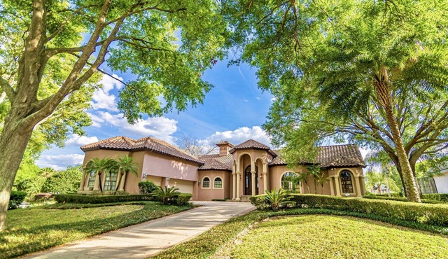 🌴PALMS LUXE PALACE🌴