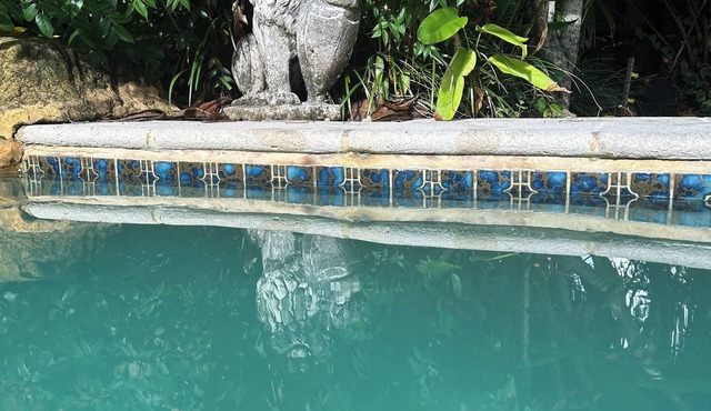 Palms, Pool and Waterfall-your perfect Miami vacation home