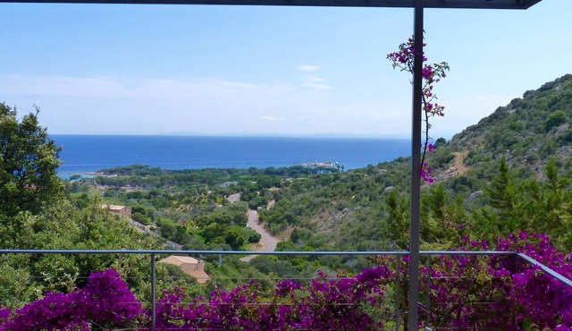 Palombaggia: house/villa - 2 rooms - 4 persons