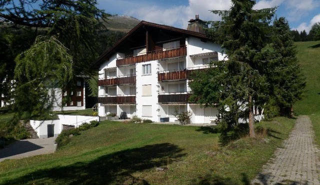 Palousa (150 Ro)