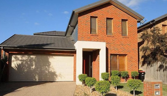 Pampas Grass Homestay