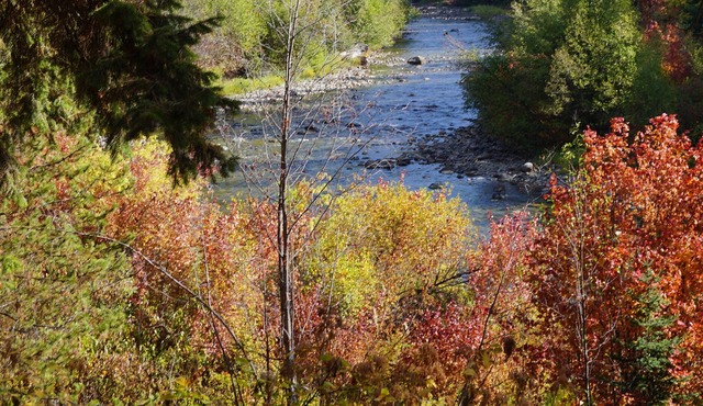 Panabode Log Cabin On The Banks Of The Scenic Chiwawa River