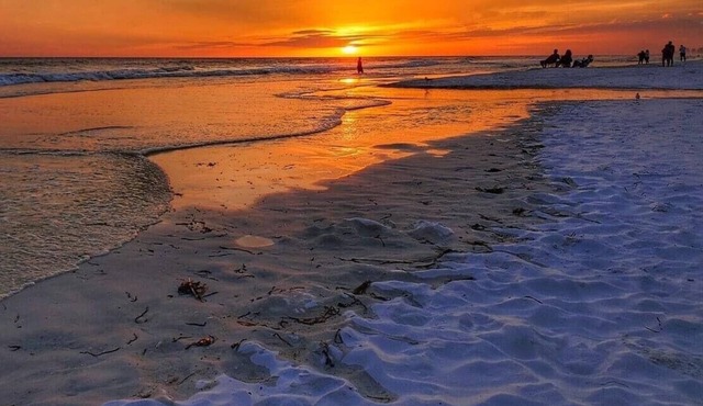 Panama City Beachfront! 5STAR Dog Friendly! Vacation-Staycation or MicroCation!