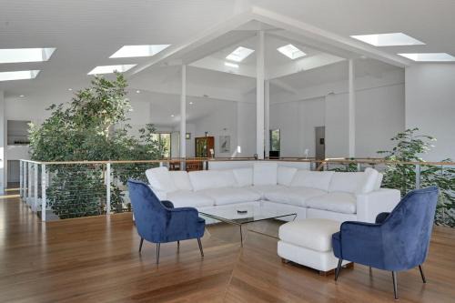 Pandanus - Agnes Water