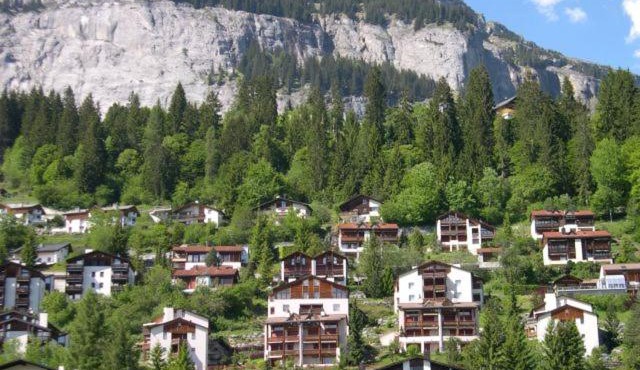 Panorama A23 Fitzi - Ferienwohnung für 1-2 Personen