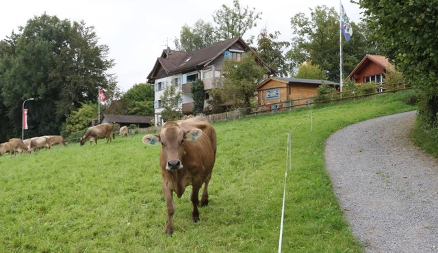 Panorama Blick