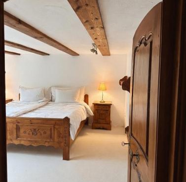 Panoramic apartment with charming swiss interior