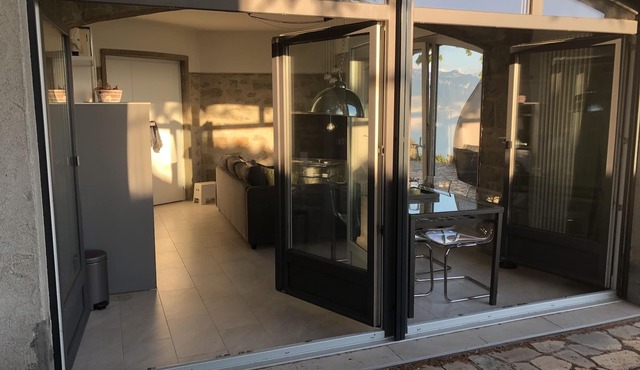 Panoramic APT in the Vineyard with stunning 360 ° view of Lake Geneva and Alps