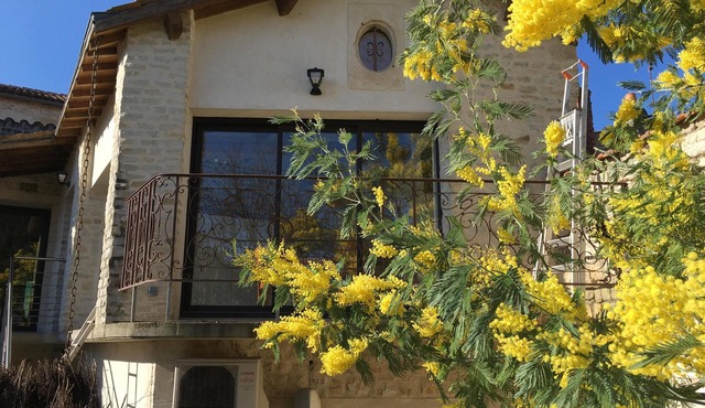 Panoramic cottage 'Oléron'