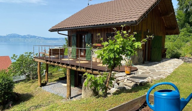 Panoramic lake view chalet