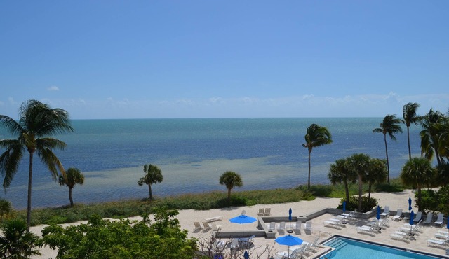 Panoramic Ocean: Beach from every window