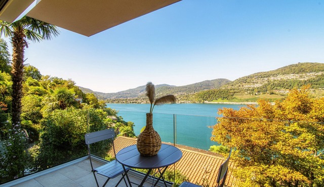 Panoramic studio apartment overlooking Lake Lugano (LA PALMA 1)