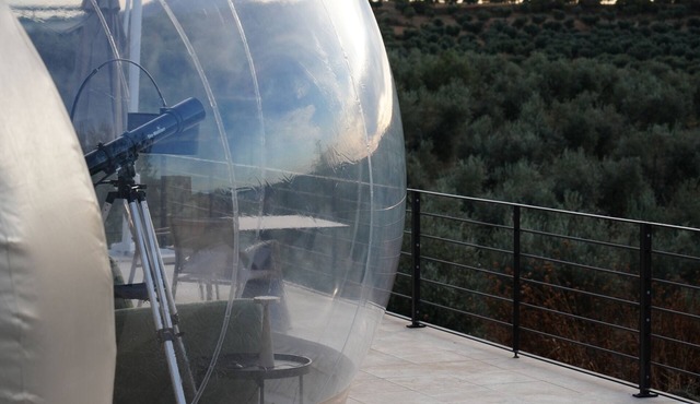 Panoramic Suites