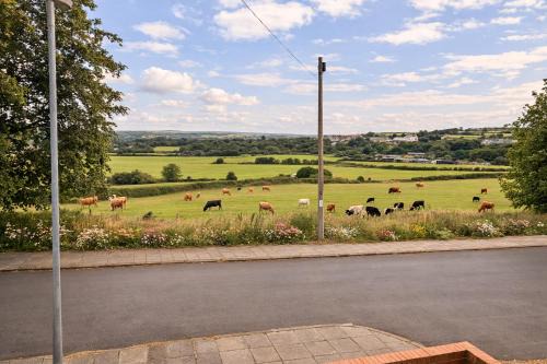 Panoramic Sunset Views - Free Parking & Sleeps 5