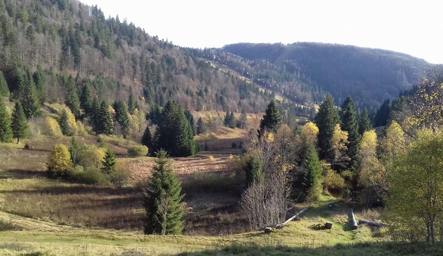Panoramic view apartment on the slopes of Labresse and La Tourbière
