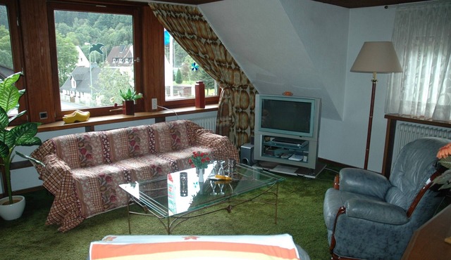 Panoramic View for 5 Guests in Lennestadt