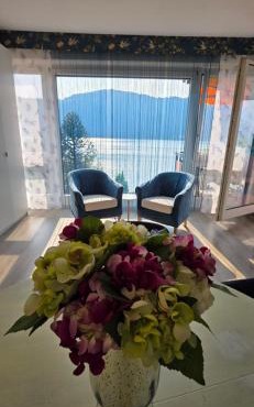 Panoramic View Frontal Apartment