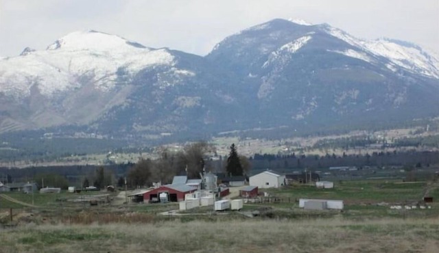 Panoramic Views & Dog Heaven on the farm