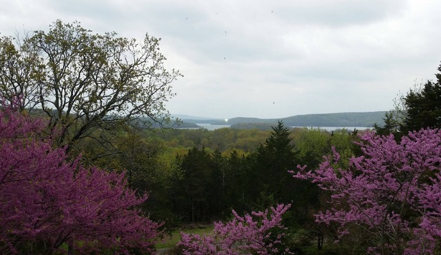 Panoramic views of Lake Tenkiller from the House on the Hill