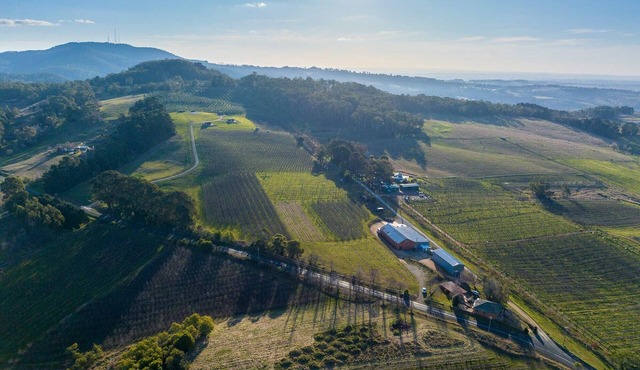 Panoramic Views on Pinnacle - 3 Bedroom Farm Stay