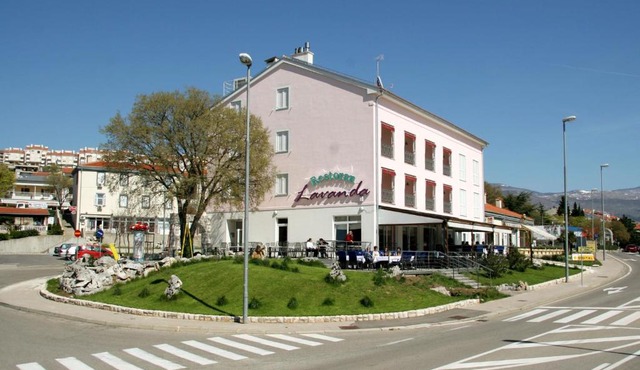 Pansion Lavanda