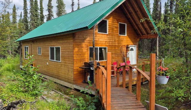 Papa Bear Cabin-Close to Kenai River- sleeps 10- Alaska Building a Dream